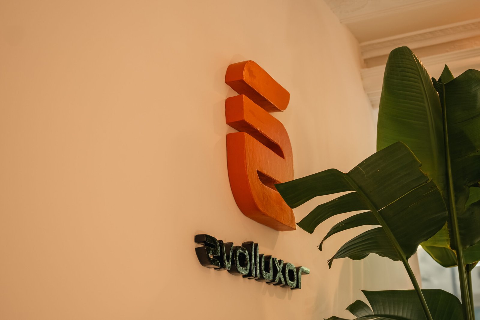 evolluxor-1